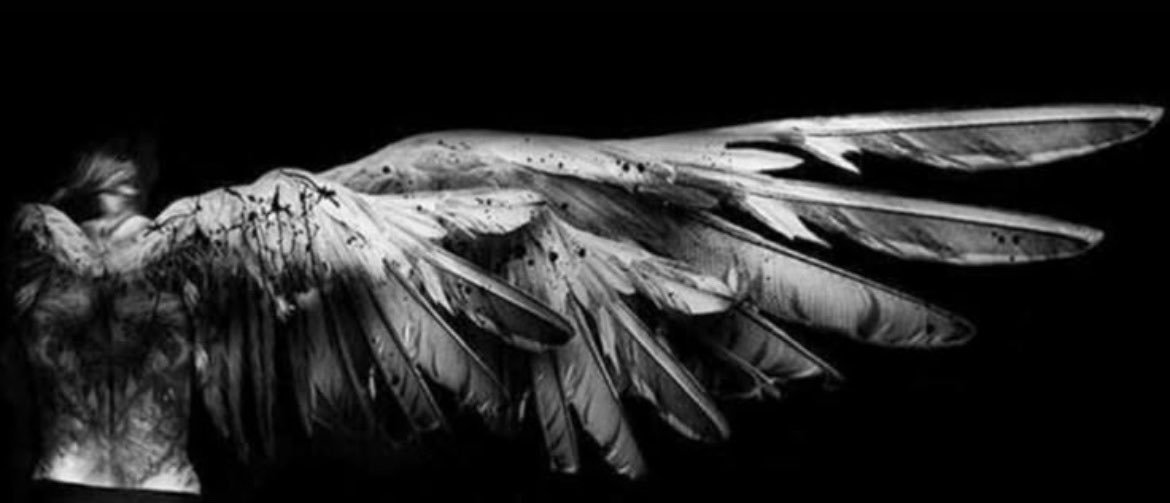 pjmsync's profile banner image