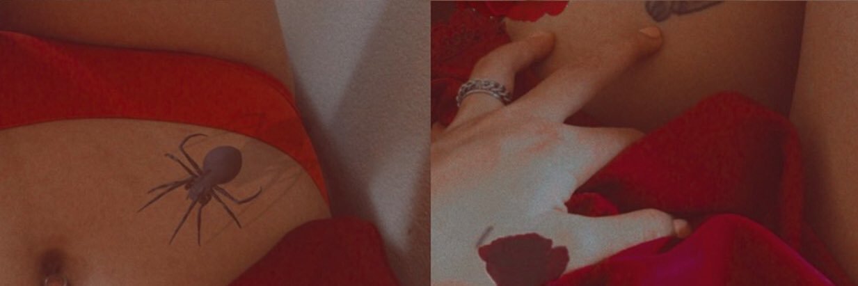 ahhalamer's profile banner image