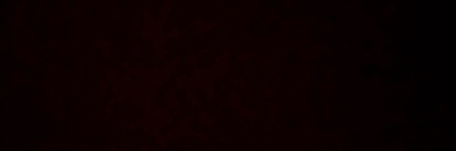 ForeverBlinku's profile banner image