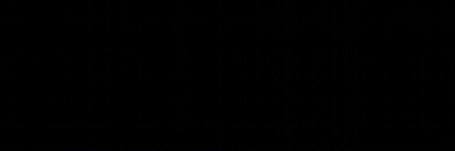 𝔗echo banner