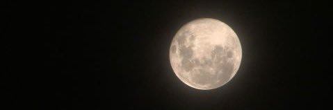 orangeraaa's profile banner image