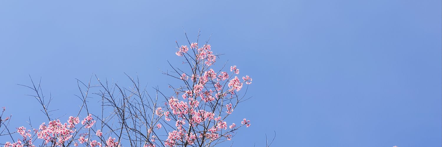 fuyan83's profile banner image
