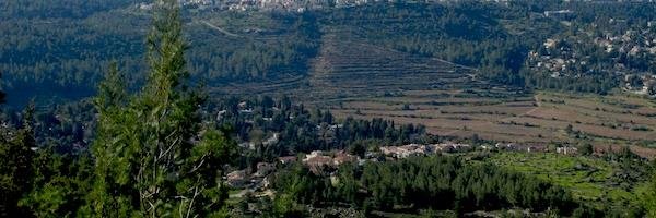 Daniel Polisar banner