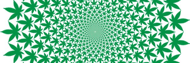 KingScolari's profile banner image
