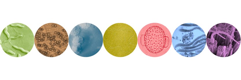 BCCM Collections banner