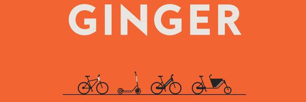 LetsGoGinger Profile Banner