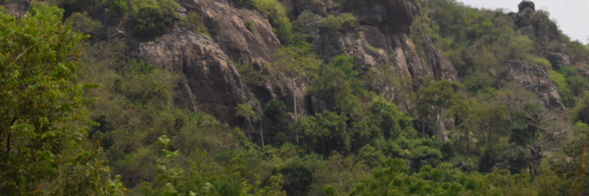 Institute for Environment & Sanitation Studies banner