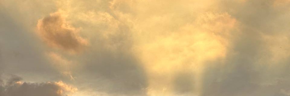 RILOTRO's profile banner image