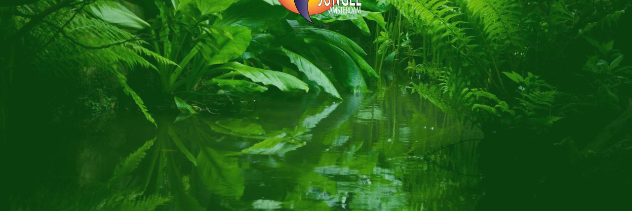 JungleAmsterdam's profile banner image