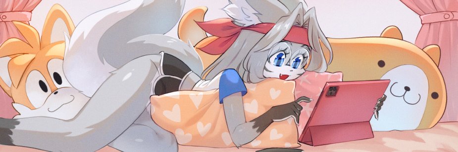 ndbiet banner