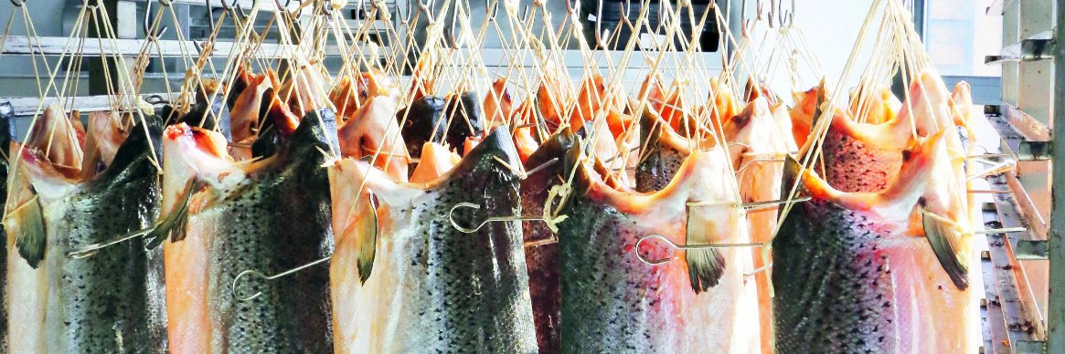 Forman & Field banner