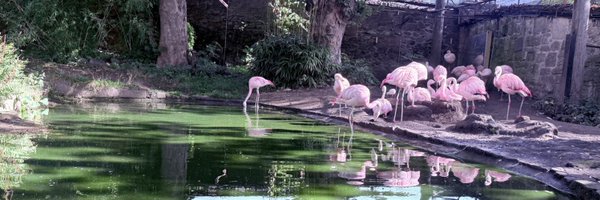 EdinReporter Profile Banner