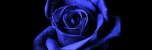 play_nemo's profile banner image