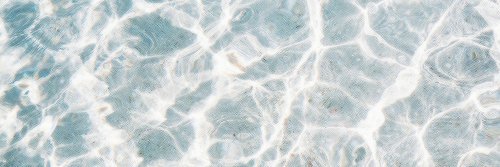 Palirroia's profile banner image