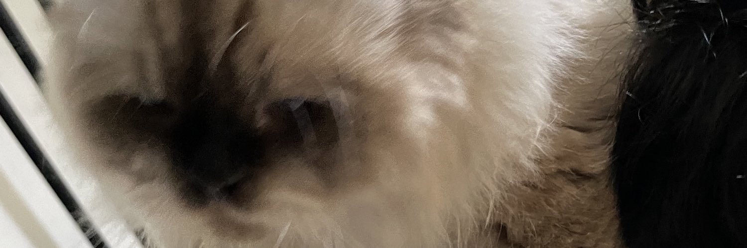 sneakyvirg0's profile banner image