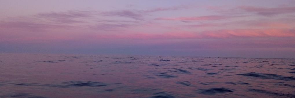 Laura Gomez Navarro banner