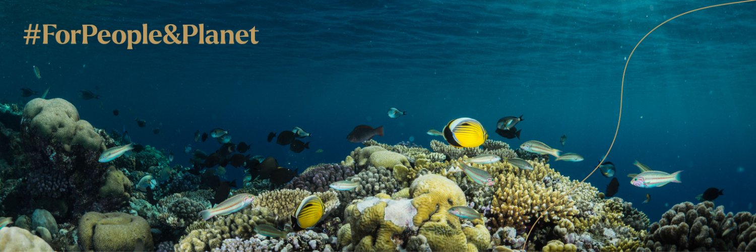 Red Sea Global's banner