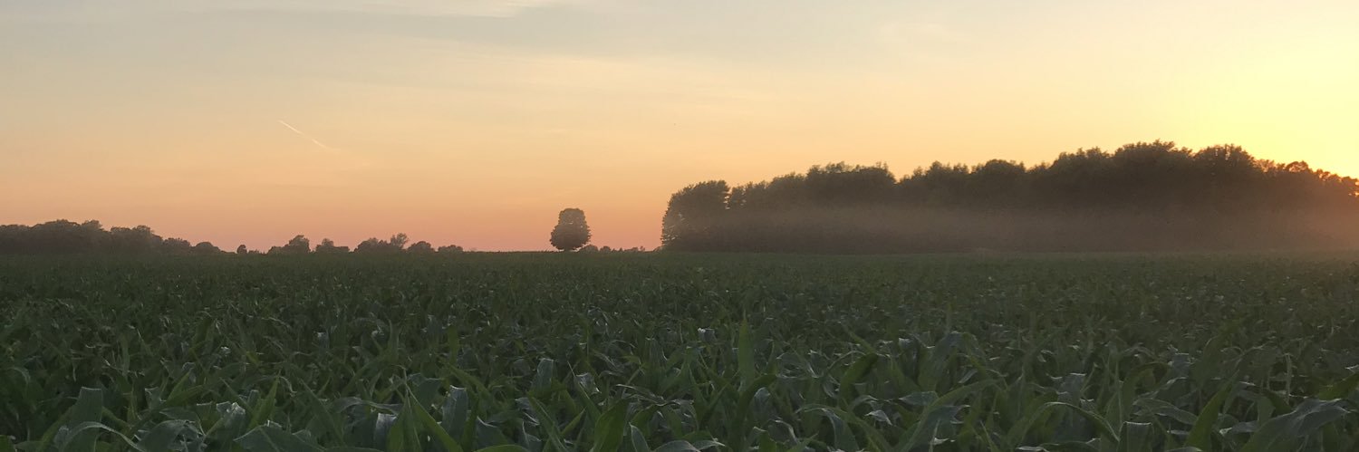 beckjackman's profile banner image