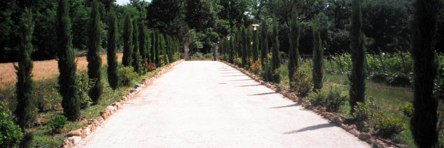 corbisier's profile banner image