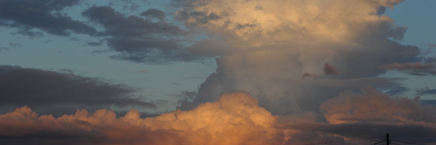 Shin_DSW's profile banner image