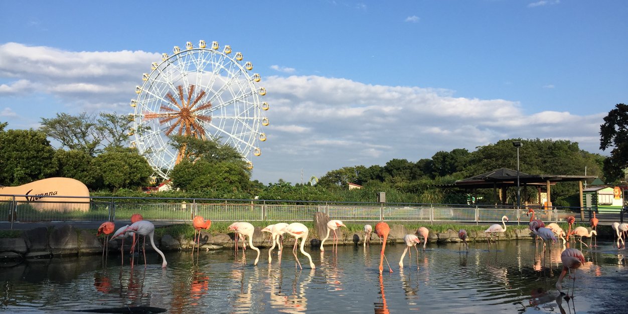 東武動物公園【公式】リュウくん's banner
