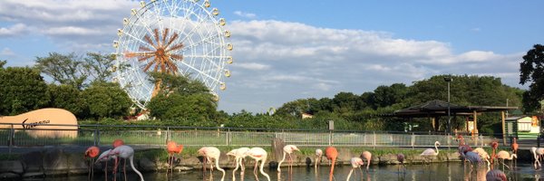 tobuzoo7 Profile Banner