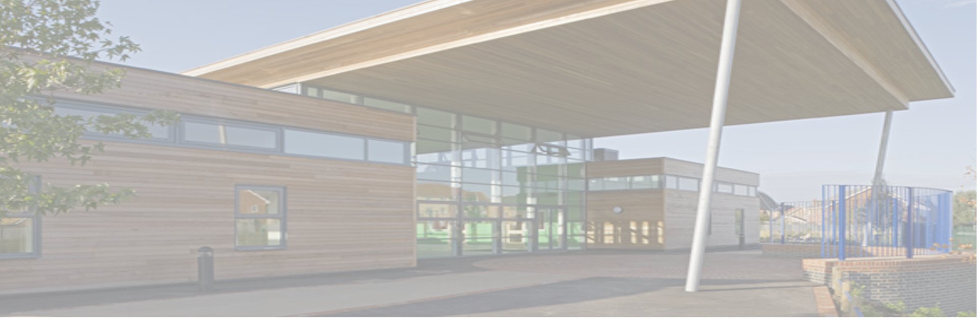 Discovery Primary School Year 5 banner