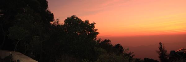 PRITISETIA Profile Banner