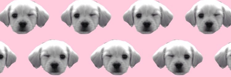sarlu_'s profile banner image