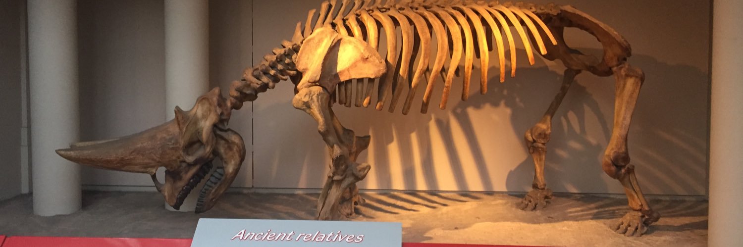 Nathan McConnell banner