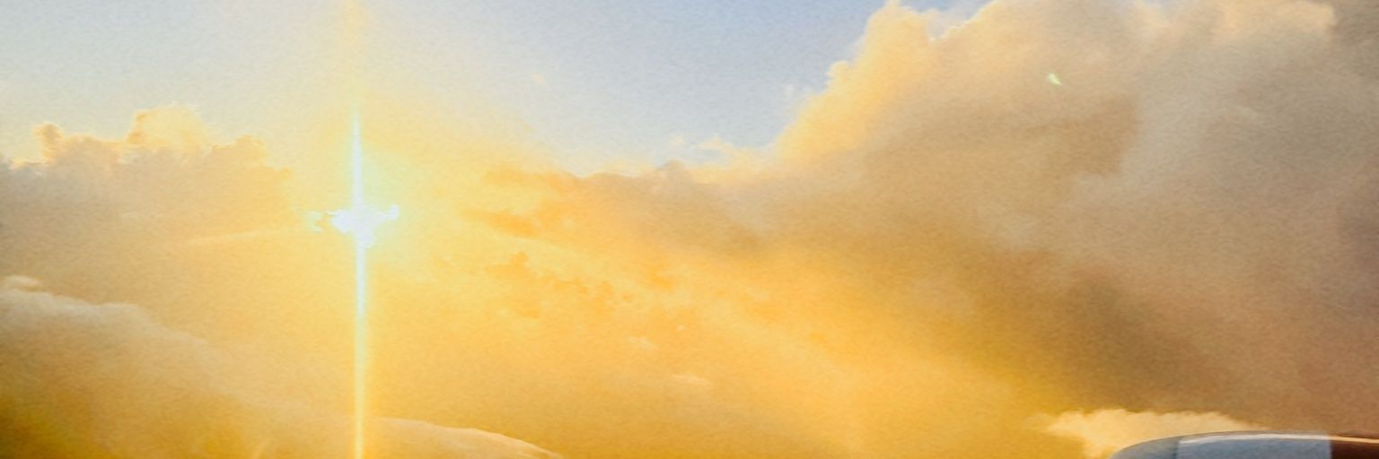 hagarεїз banner