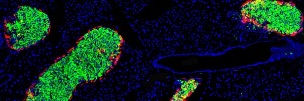 GirardRomain10 Profile Banner