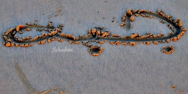 thameramash's profile banner image