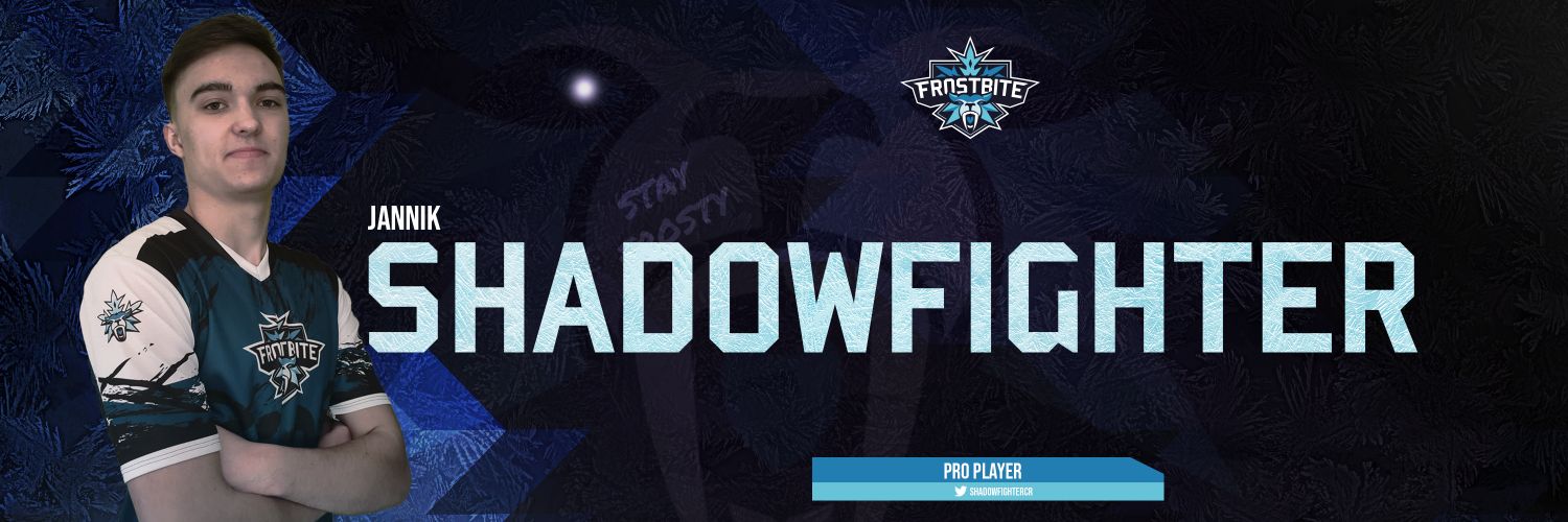 ShadowFighter banner