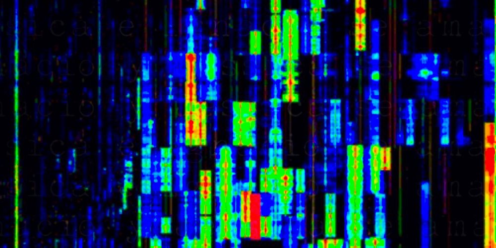 @ignace (backup account / cuenta de respaldo) banner