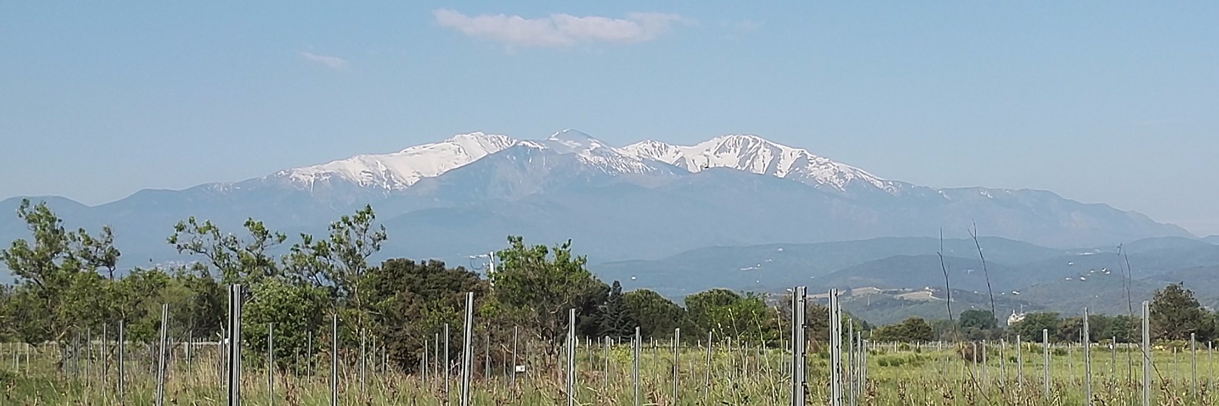 Thibaut Mercey banner