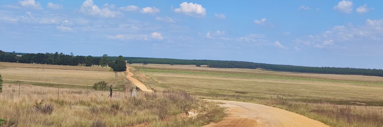 Hon. Mancibane ⚪️ banner