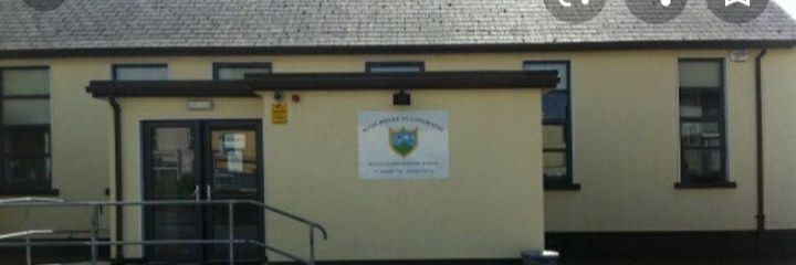Ballylanders N.S banner