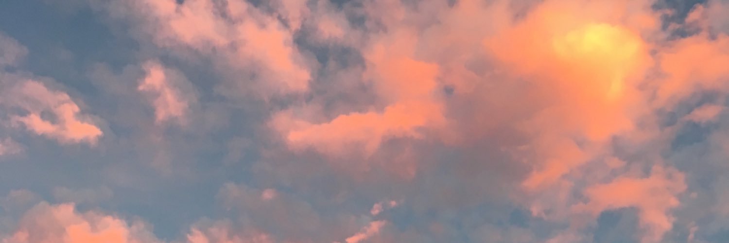 brchll's profile banner image