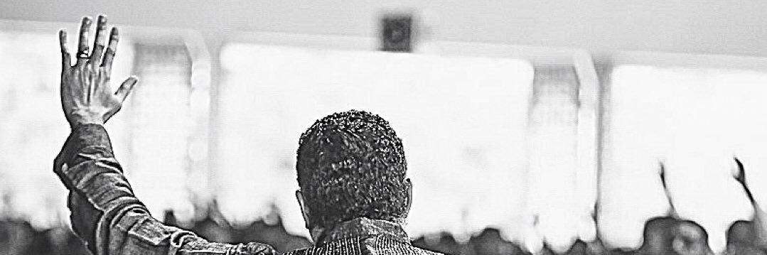 shellnq's profile banner image