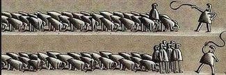 lololol's profile banner image