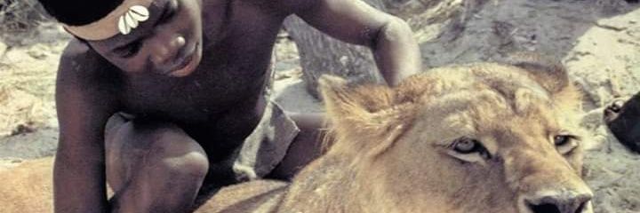 DidyTaa's profile banner image