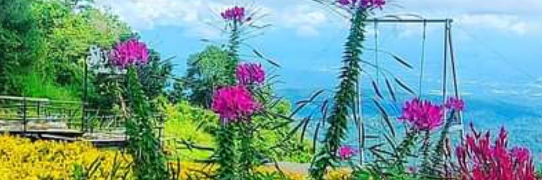 4521Ruay's profile banner image