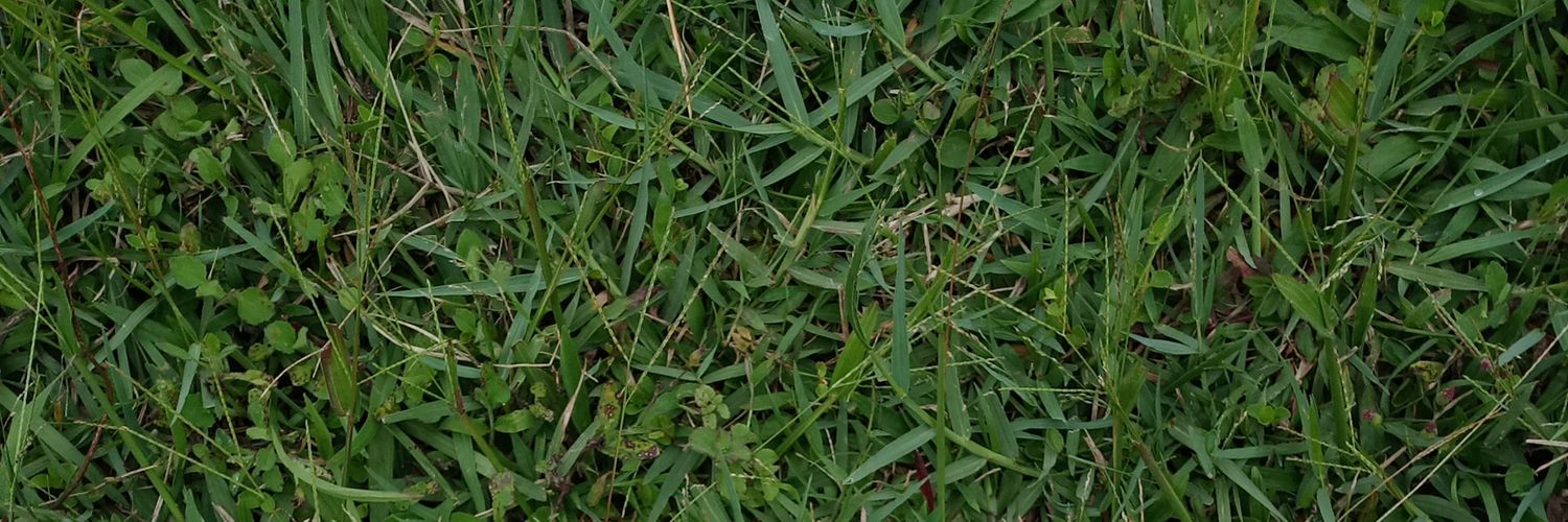ikhasarr's profile banner image