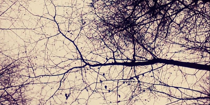 Liindishhh's profile banner image