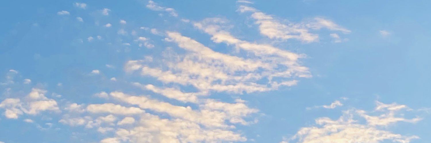photographerPi's profile banner image