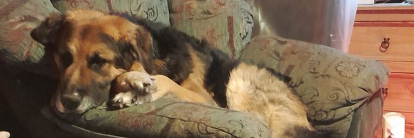 shepweiller Profile Banner