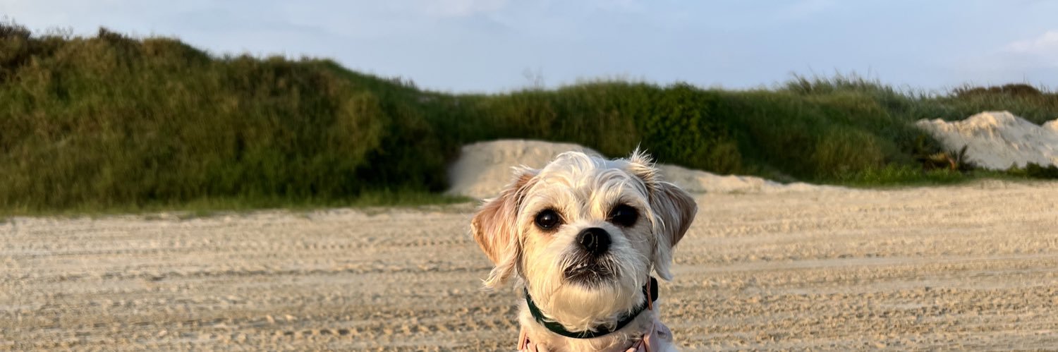 Elizabeth Abe banner