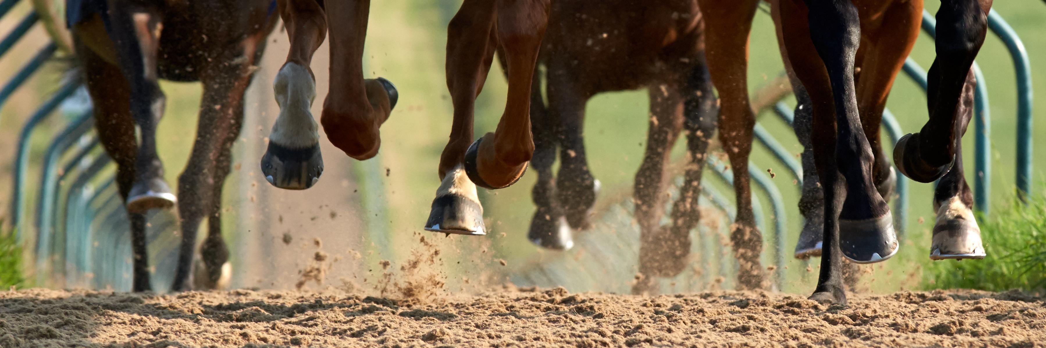 TudorPhoto's profile banner image