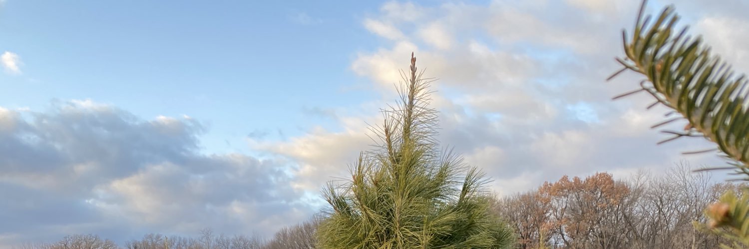 free palestine 🇵🇸🤍 banner
